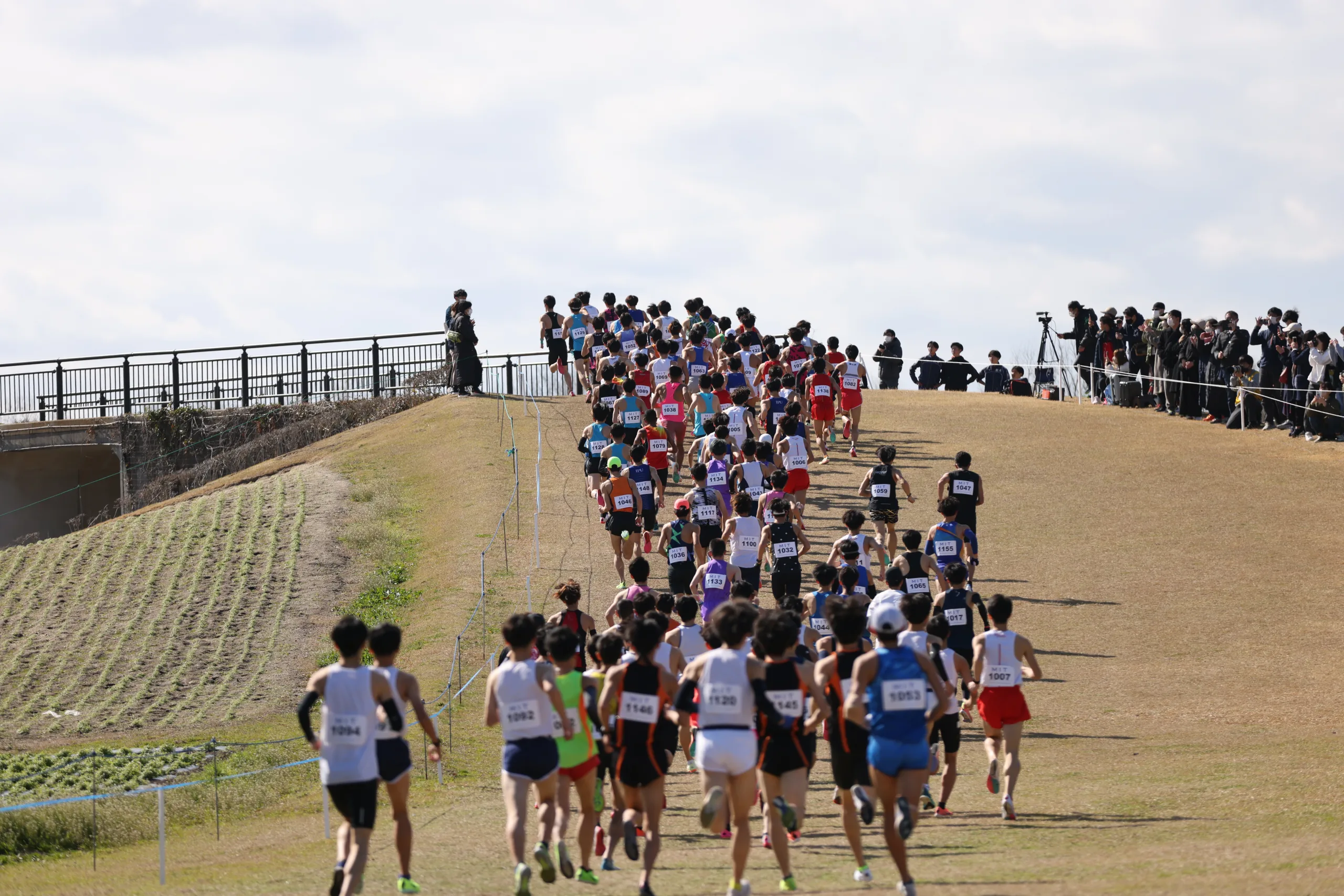 世界クロカン代表選考を変更 2月25日の日本選手権クロカンが対象に 開催地・日程変更による措置