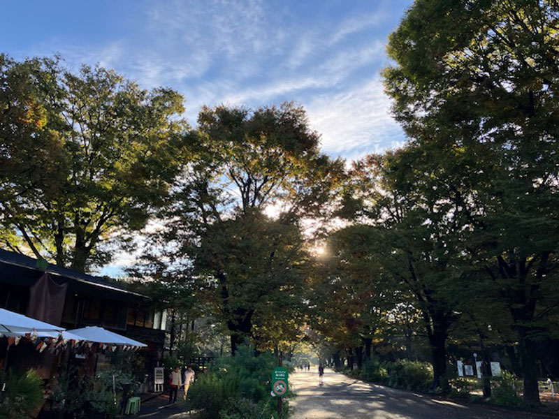 編集部コラム「今年も残り1か月半」