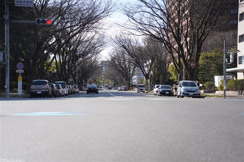 秋のアジア大会を想定して名古屋市内の特設コースでテスト競技会