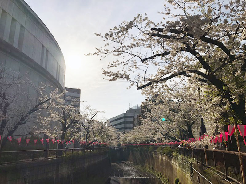 編集部コラム「年度末」